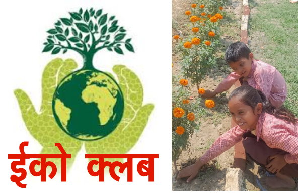 Meena manch