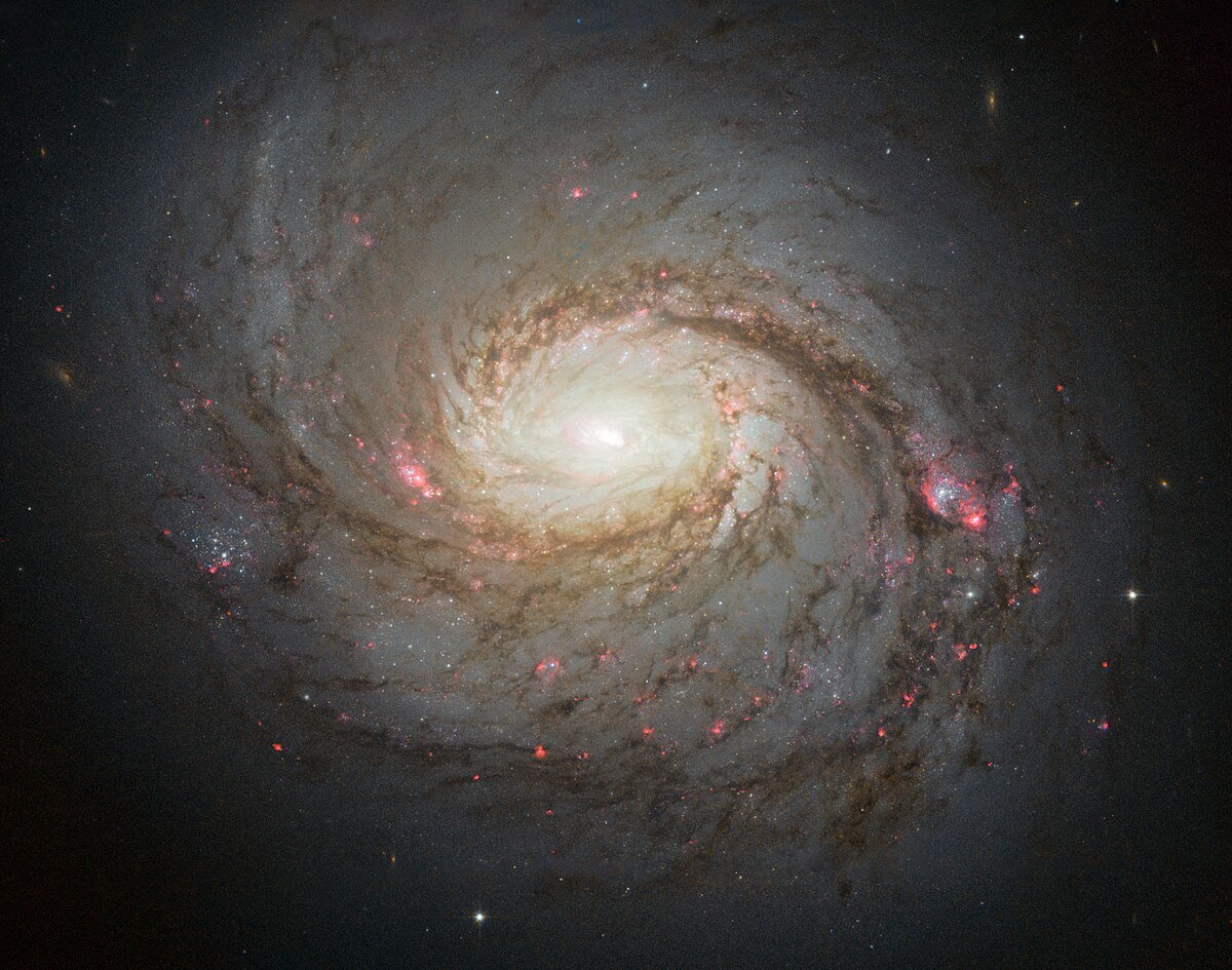 Spiral Galaxy